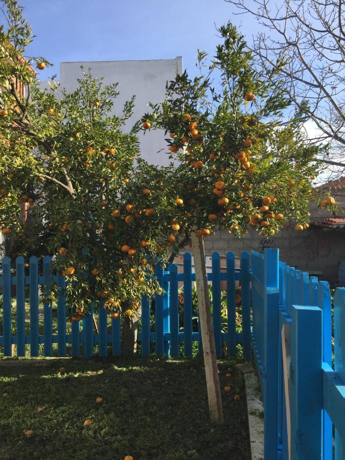Casa Ondina Ussana - Giardino, Wi-Fi, Aria Condizionata 아파트 외부 사진